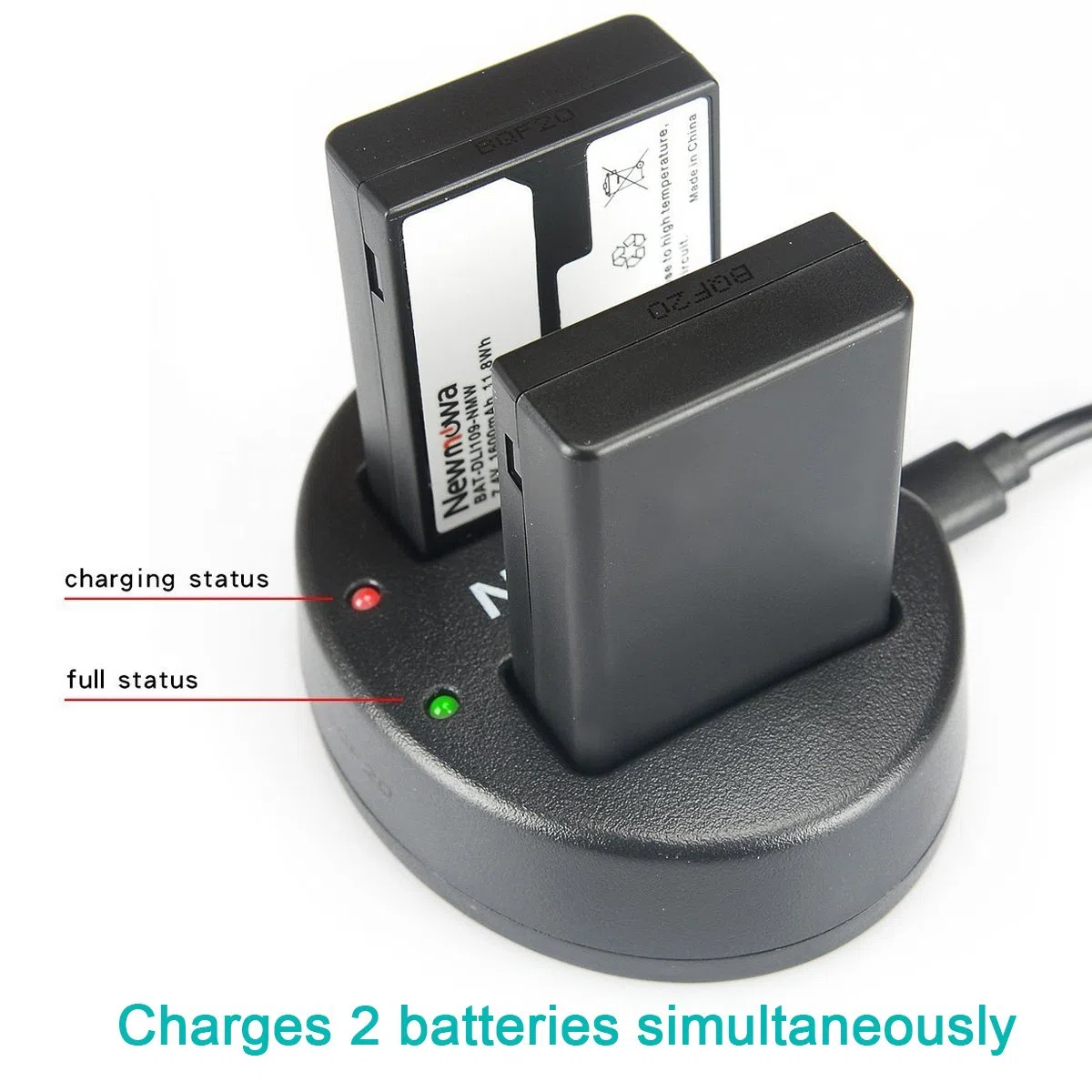 Newmowa D-LI109 Batteria (confezione da 2) e Doppio Caricatore USB per Pentax D-Li109 Pentax K-R KP K-30 K-50 K-500 K-S1 K-S2