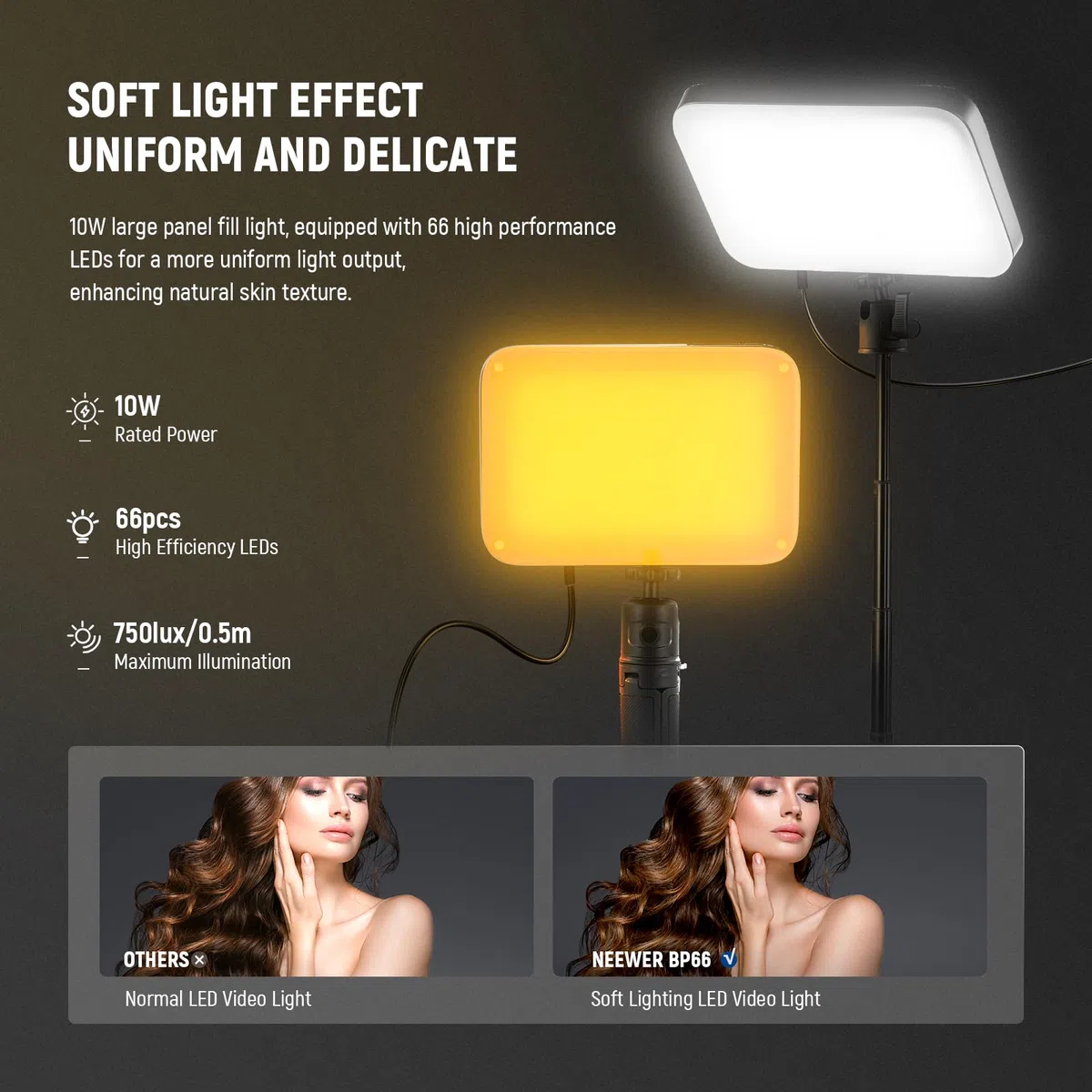 NEEWER BASICS Luce Video a Pannello LED da Scrivania (2pz), Kit Lampada per Videoconferenza con Treppiedi Tavolo/Filtri per Webcam Computer Laptop Zoom Call Trucco Registrazione Selfie Streaming, BP66