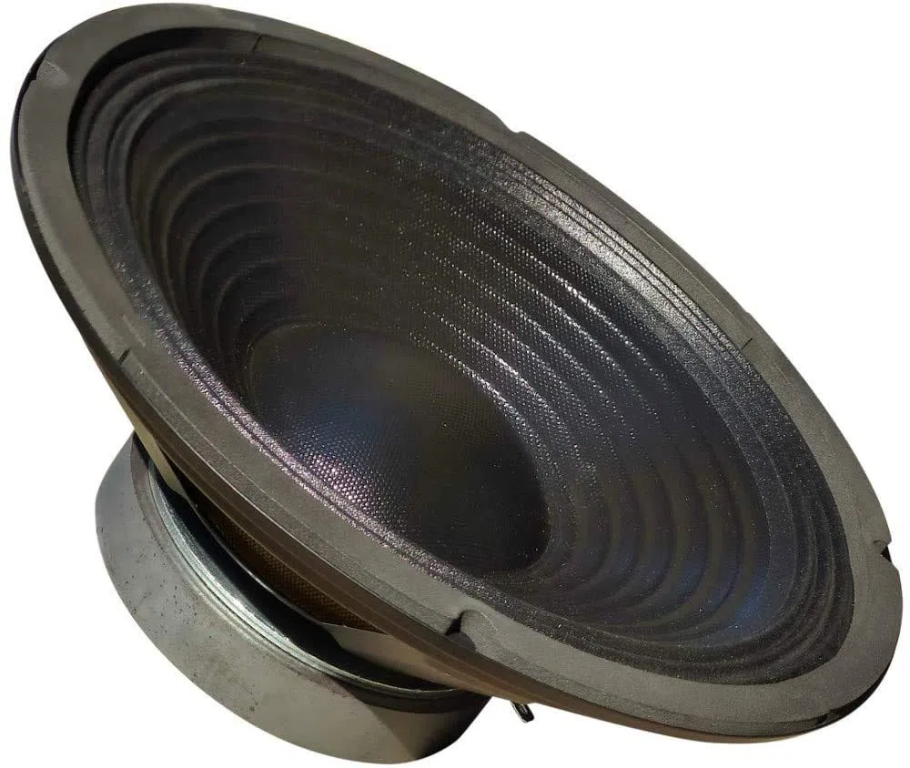 MASTER AUDIO 1 WOOFER CW1001/8 altoparlante diffusore da 25,00 cm 250 mm 10" diametro da 220 watt rms 440 watt max 8 ohm per casa 90 db spl, 1 pezzo