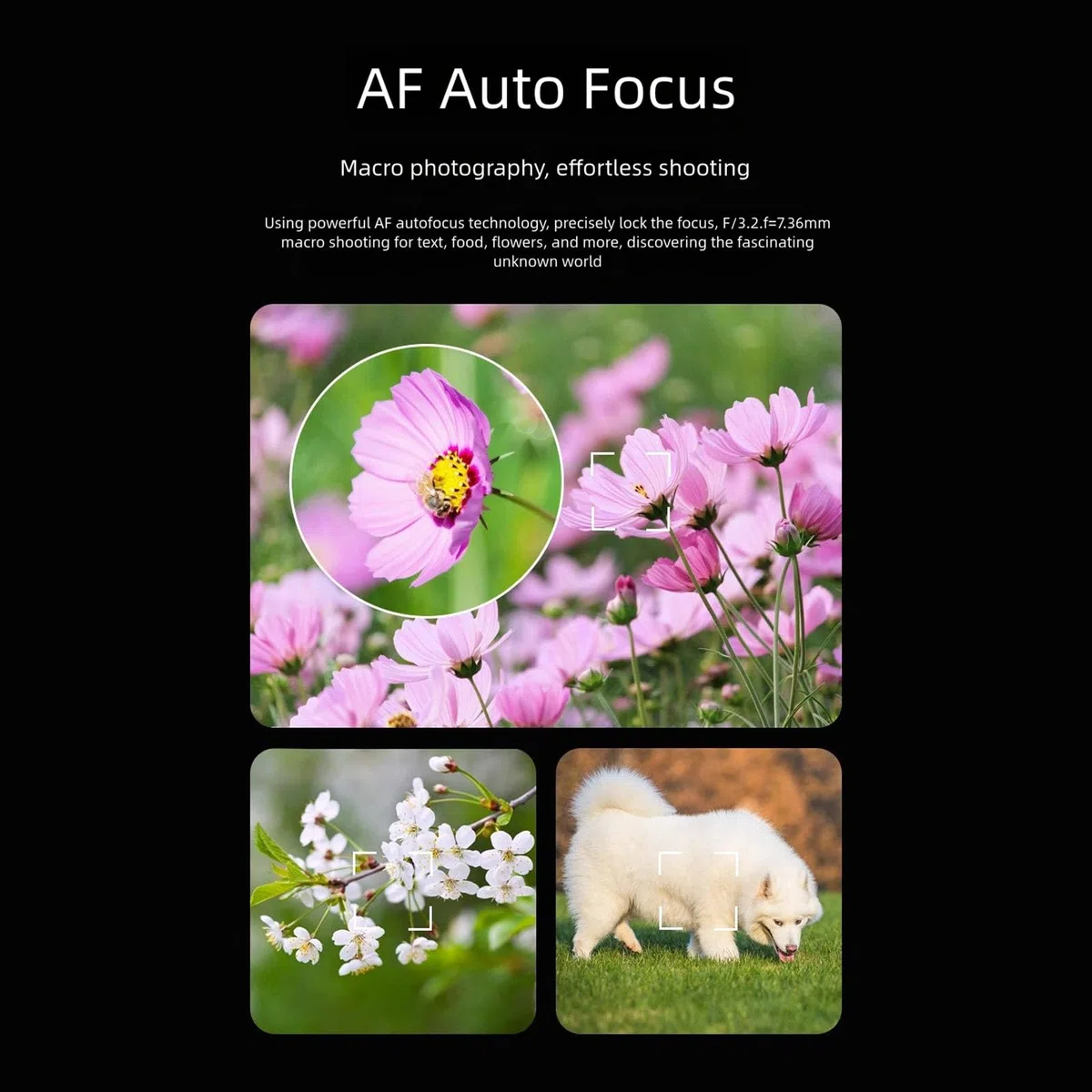 Fotocamera a doppio schermo da 80MP 4K con batteria a lunga durata e facile per adolescenti fotografi viaggiatori studenti fotocamera digitale per adolescenti principianti