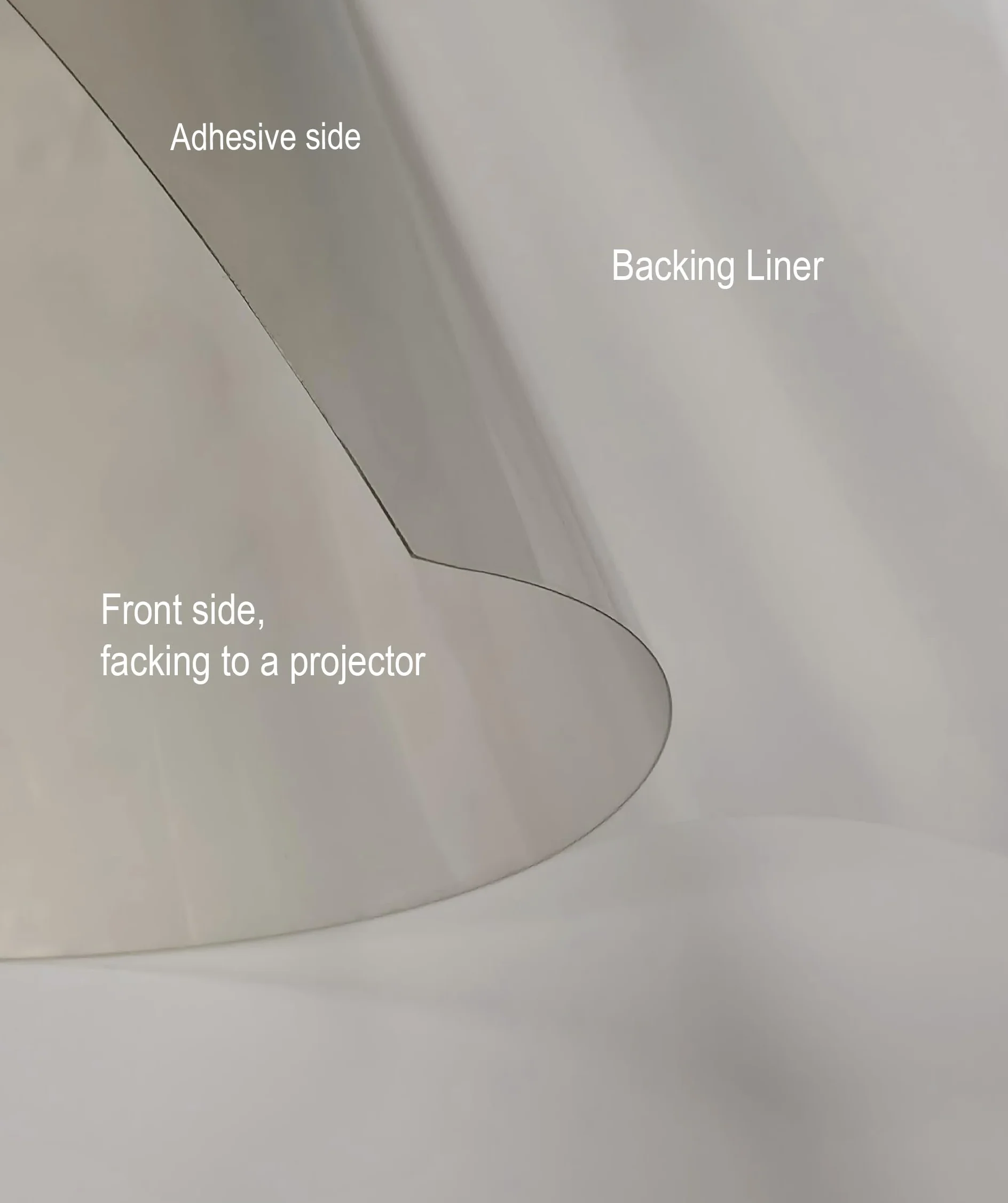 Holographic Rear Projection Film – Trasparente Projection Film for Glass and Clear Acrylic Panels, Water Spray Installation, pre-Cut Projection Sheet (Trasparente, Y22-1520)