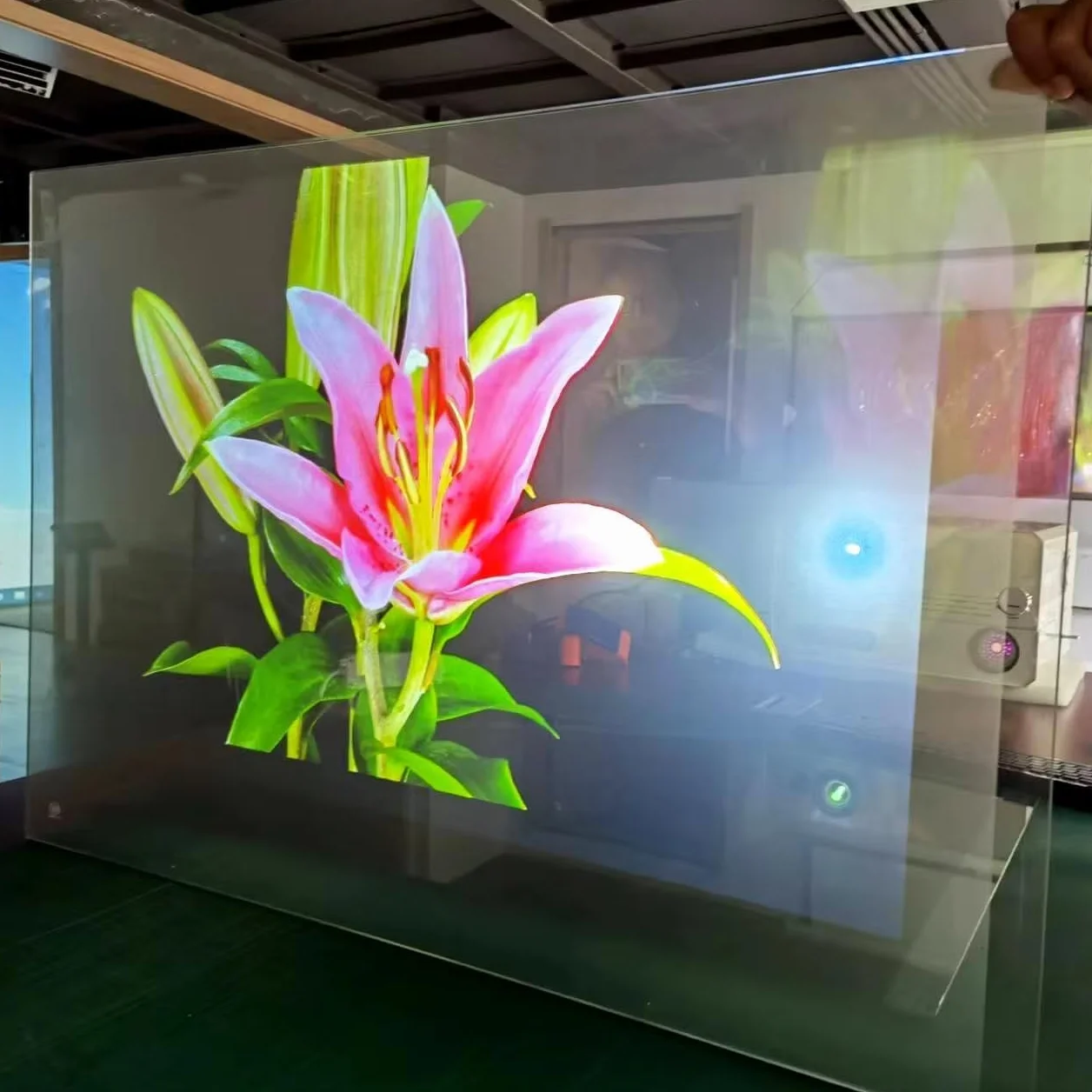 Holographic Rear Projection Film – Trasparente Projection Film for Glass and Clear Acrylic Panels, Water Spray Installation, pre-Cut Projection Sheet (Trasparente, Y22-1520)