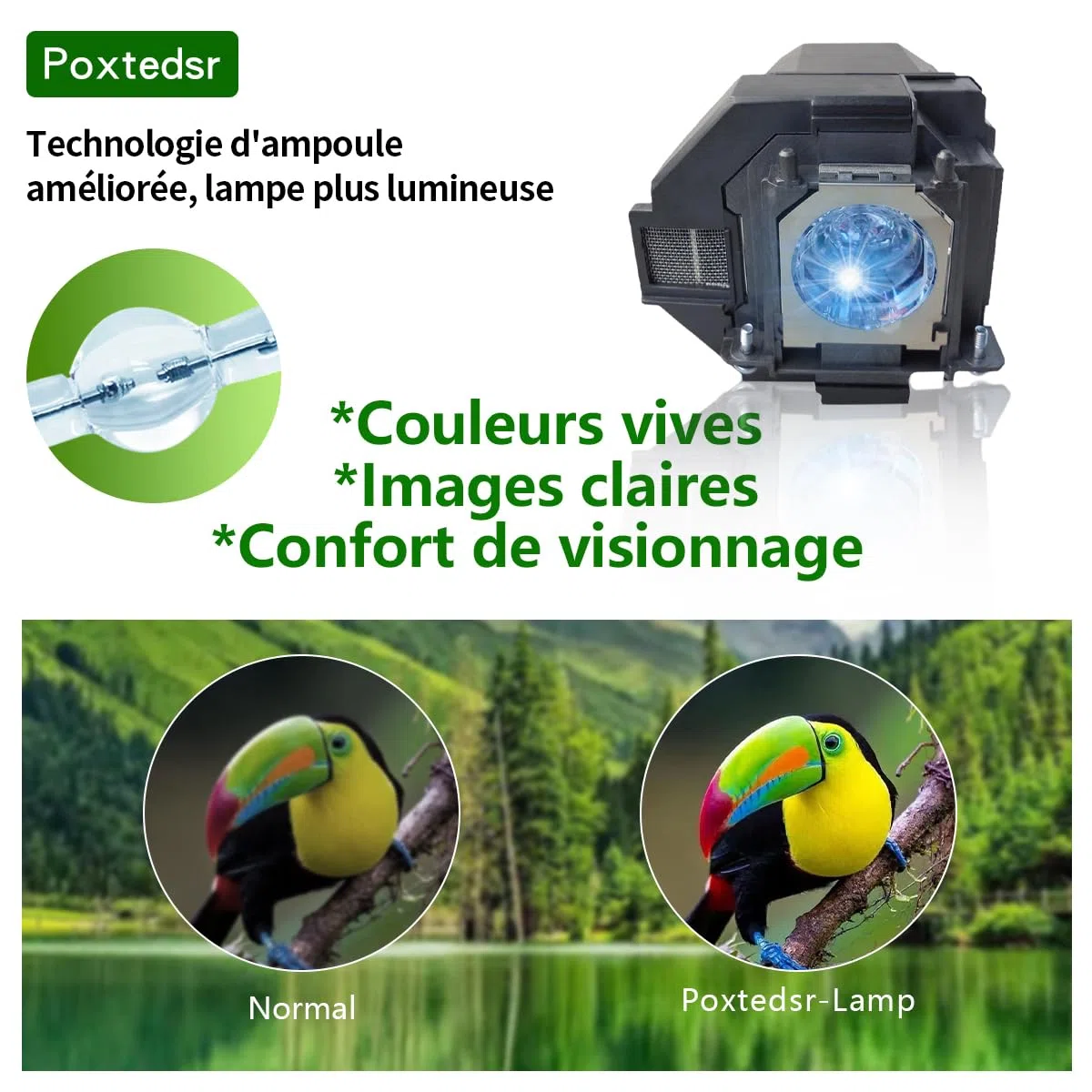 EL PLP96 Lampada Proiettore con Alloggiamento Compatibile con Epson PowerLite Home Cinema ex3280 ex5280 ex7280 ex9230 ex9240 880x 119W 2200 2250 2350