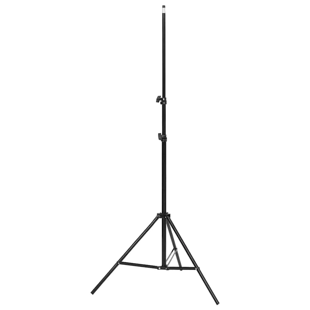 Kit da studio fotografico con illuminazione, sfondo e riflettore per fotografia professionale di ritratti e prodotti in studio domestico, include luci LED dimmerabili