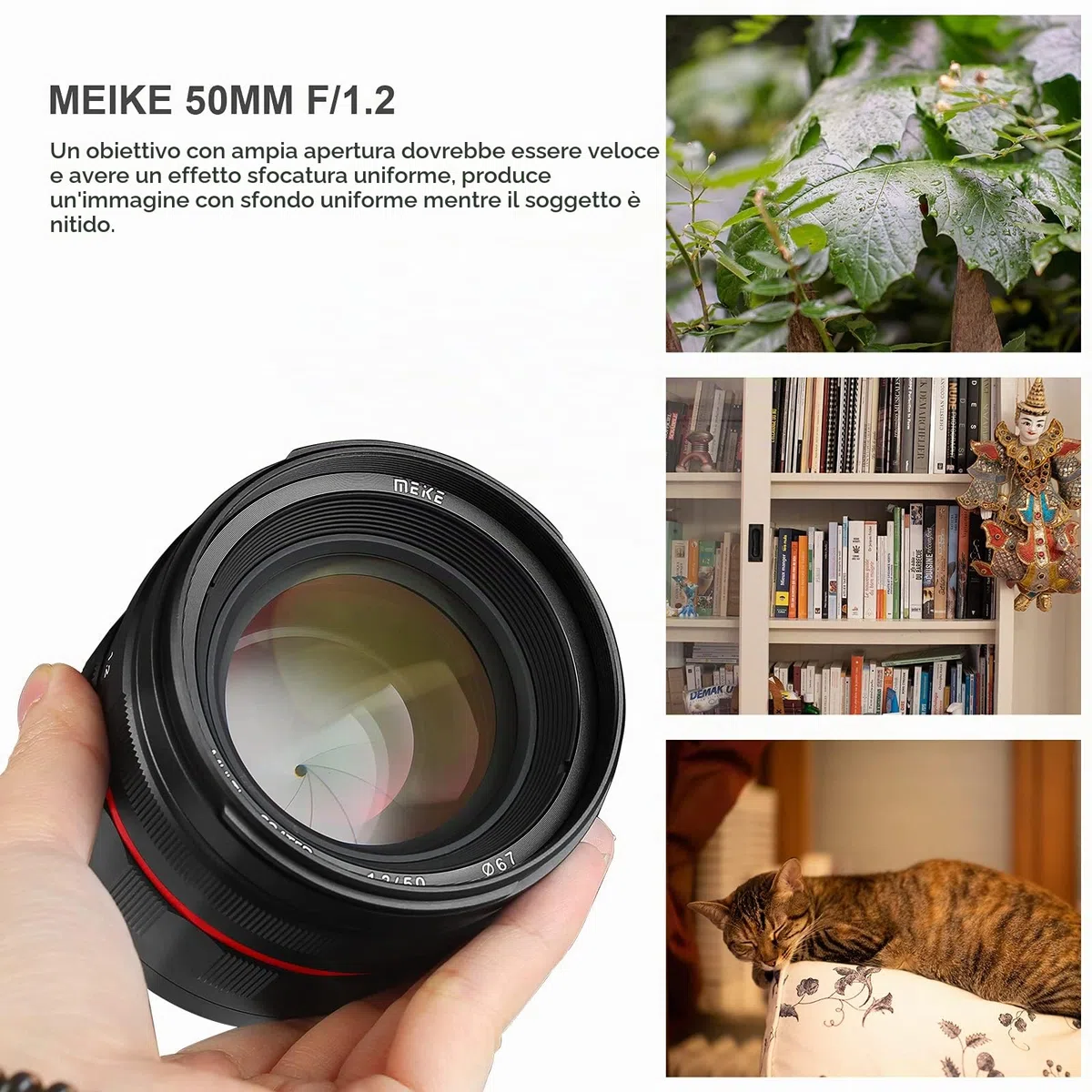 Meike MK-50mm F1.2 Obiettivo fisso con messa a fuoco manuale full frame ad ampia apertura compatibile con fotocamere reflex digitali Canon EOS EF Mount