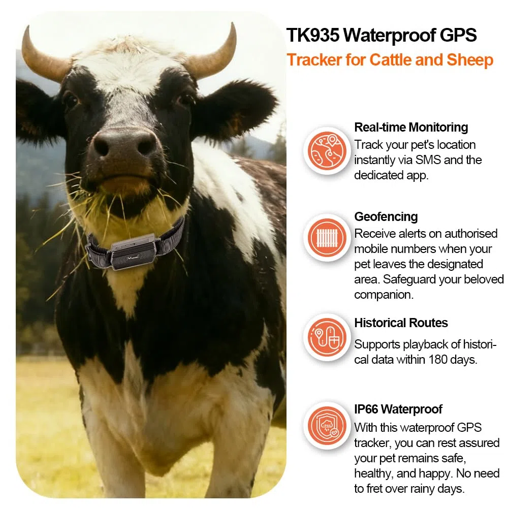 Winnes Localizzatore GPS con Colletto per Cani, Caccia, Mucca, Cavallo, Pecora, Cammello - IP66 Impermeabile, Portata Illimitata in Tempo Reale Senza Abbonamento per Grandi Animali (TK935)