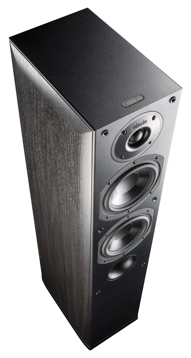 Indiana Line Nota 550 XN diffusore da pavimento - coppia (rovere nero)