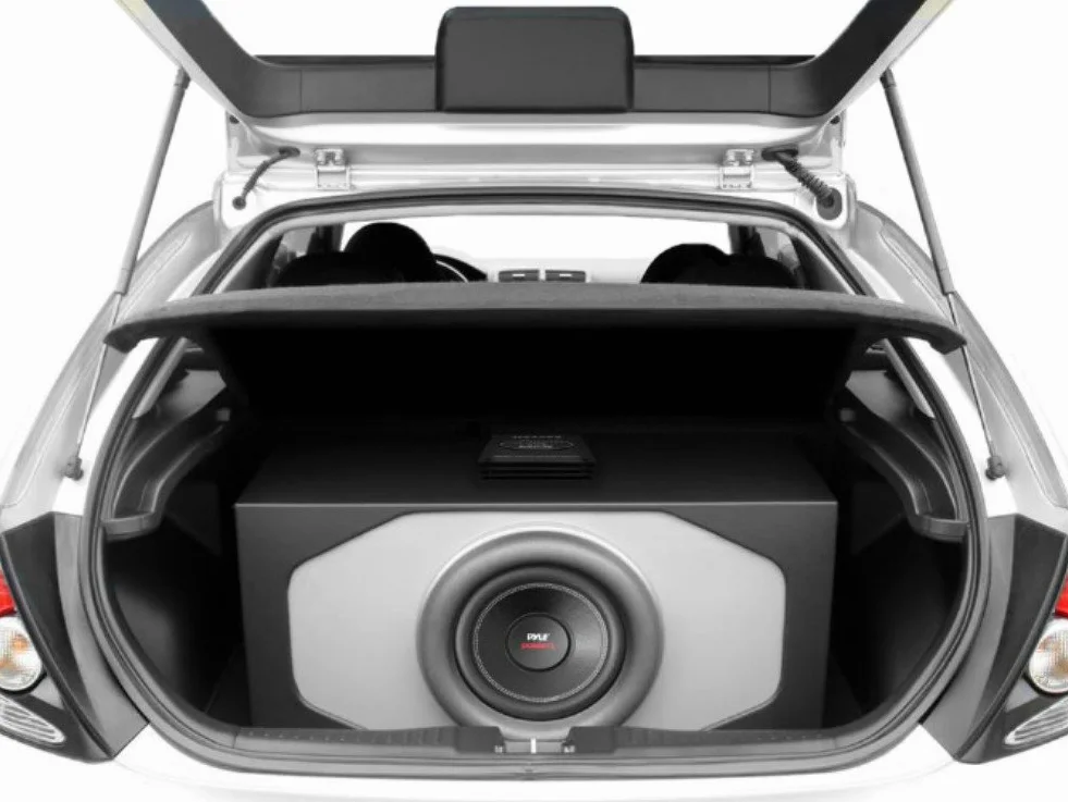 Pyle 1 SUBWOOFER PLPW10D PLPW 10D 25,00 cm 250 mm 10" da 500 Watt rms 1000 Watt Max Doppia Bobina 4 + 4 Ohm dvc Dual Voice Coil per Cofano Bagagliaio Auto, 1 Pezzo