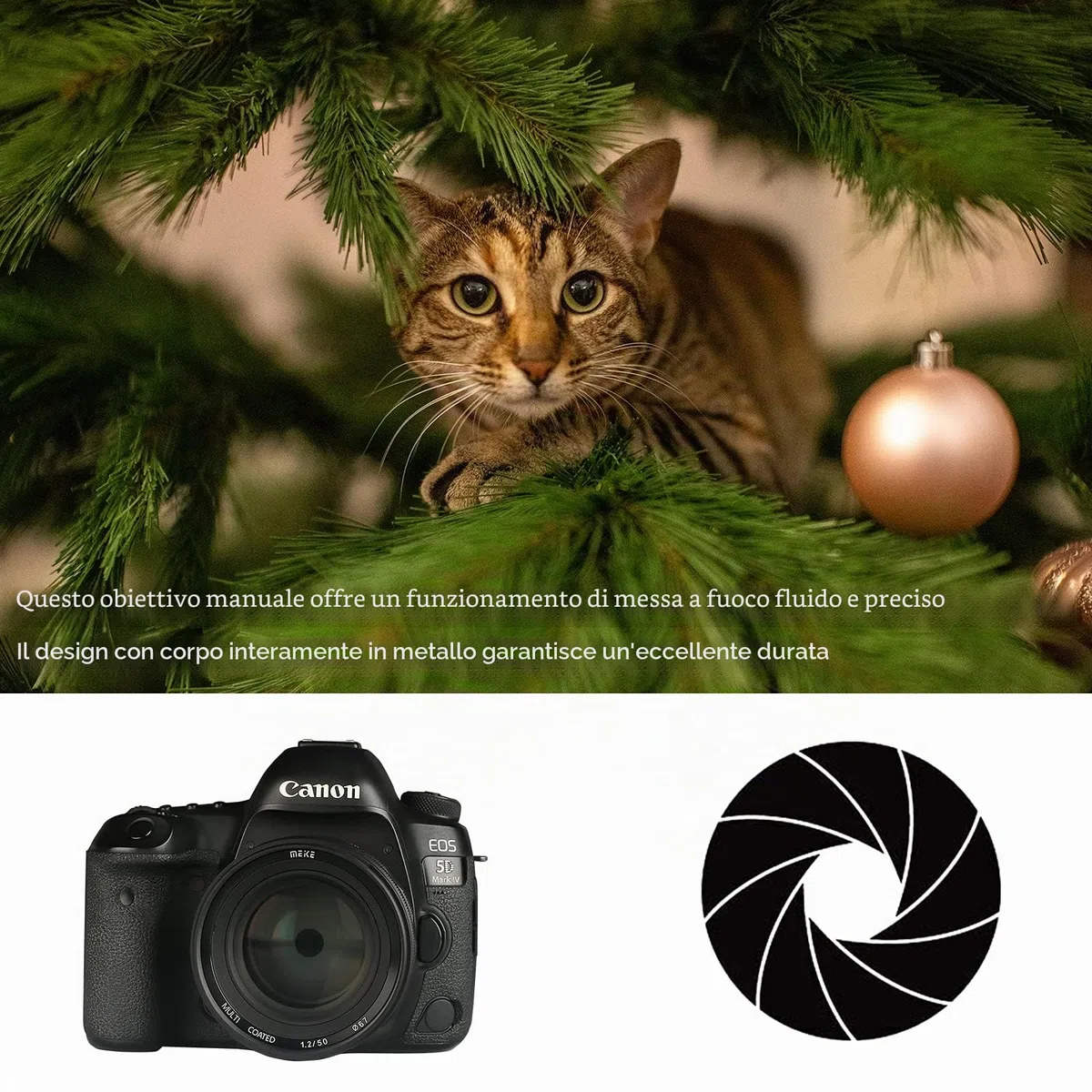 Meike MK-50mm F1.2 Obiettivo fisso con messa a fuoco manuale full frame ad ampia apertura compatibile con fotocamere reflex digitali Canon EOS EF Mount