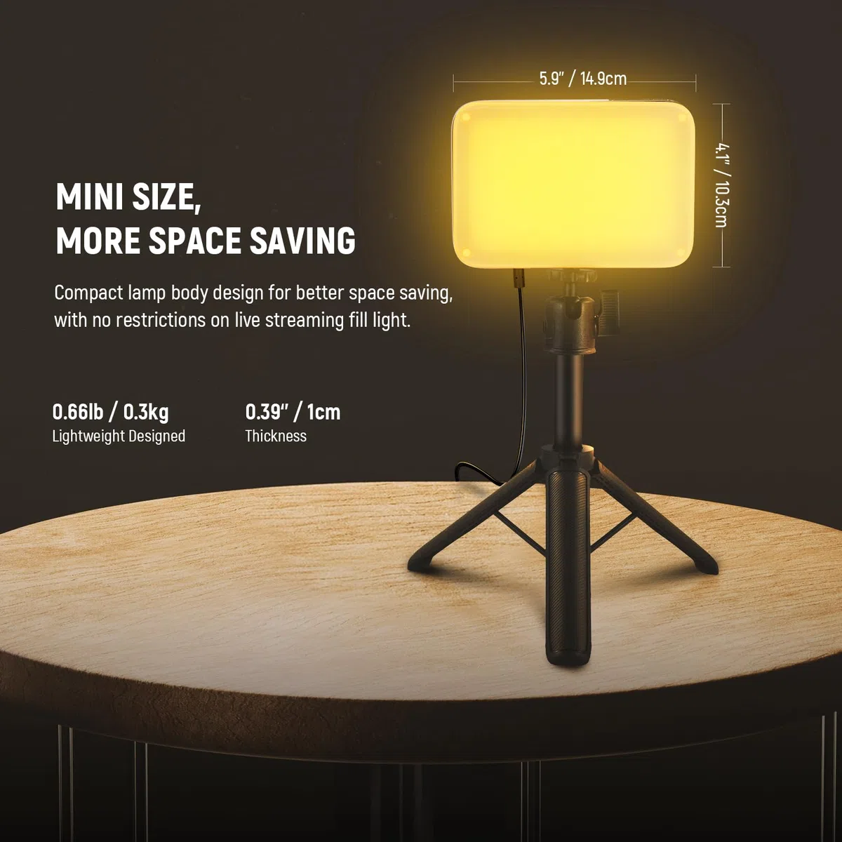 NEEWER BASICS Luce Video a Pannello LED da Scrivania (2pz), Kit Lampada per Videoconferenza con Treppiedi Tavolo/Filtri per Webcam Computer Laptop Zoom Call Trucco Registrazione Selfie Streaming, BP66