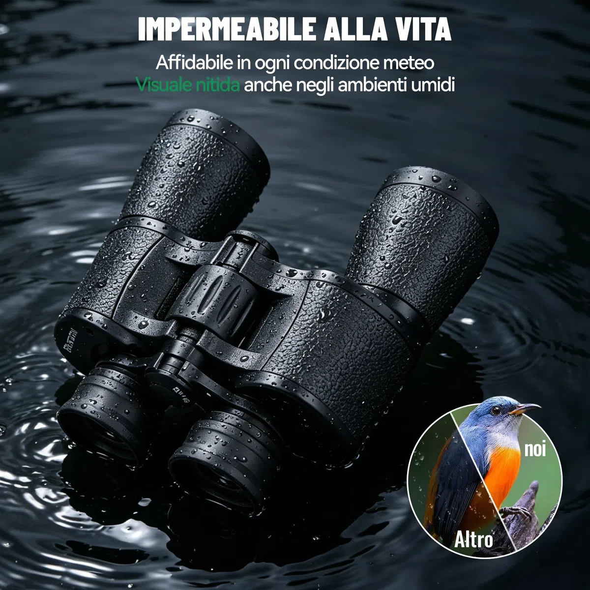 Binocolo 7x50 per Adulti con Visione Chiara, Binocolo Compatto per Birdwatching Caccia Viaggi Partite di Calcio Osservazione Delle Stelle con Custodia e Tracolla