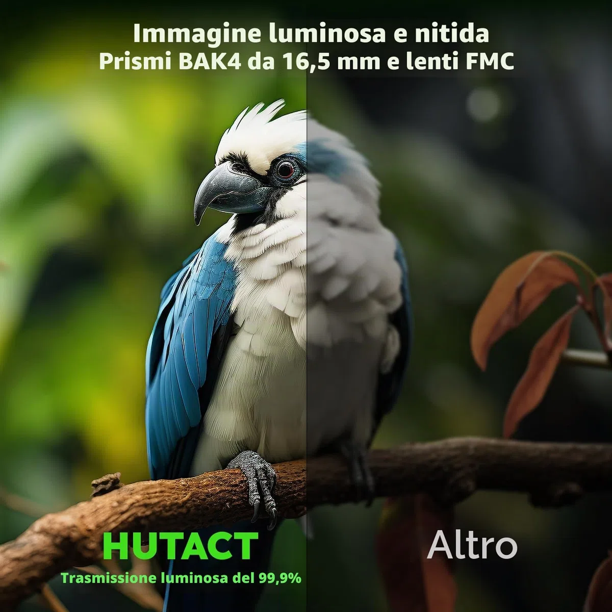 Binocolo Professionale Potente,10x42 Compatto Binocolo per Adulti- Prismi BaK4 e Lente FMC, per Birdwatching, viaggio trekking Teatro e Concerti, Caccia e Giochi Sportivi