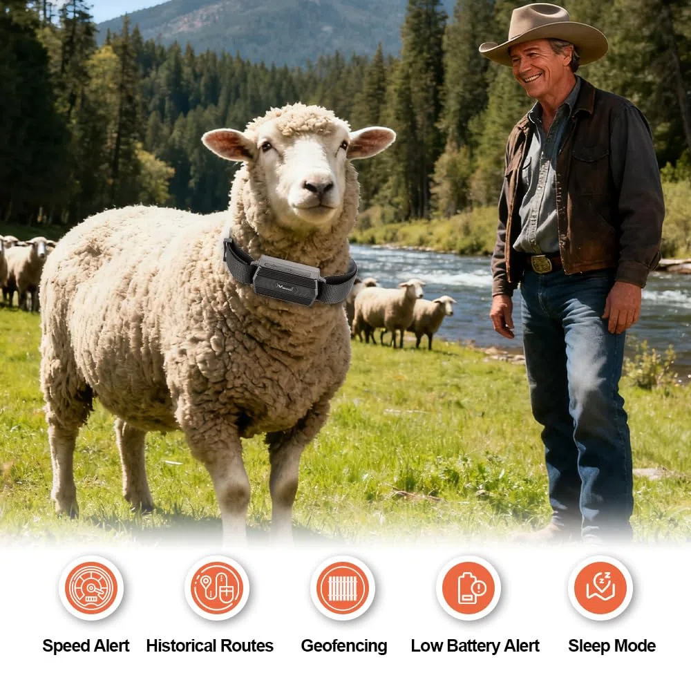 Winnes Localizzatore GPS con Colletto per Cani, Caccia, Mucca, Cavallo, Pecora, Cammello - IP66 Impermeabile, Portata Illimitata in Tempo Reale Senza Abbonamento per Grandi Animali (TK935)