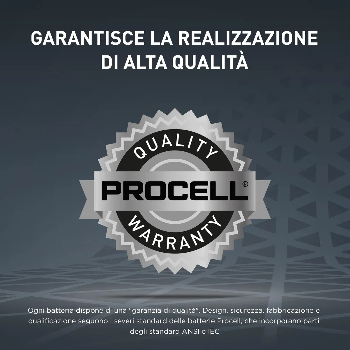 100X Stilo Duracell Procell AA (10 Blister Da 10 Batterie) 100 Pile
