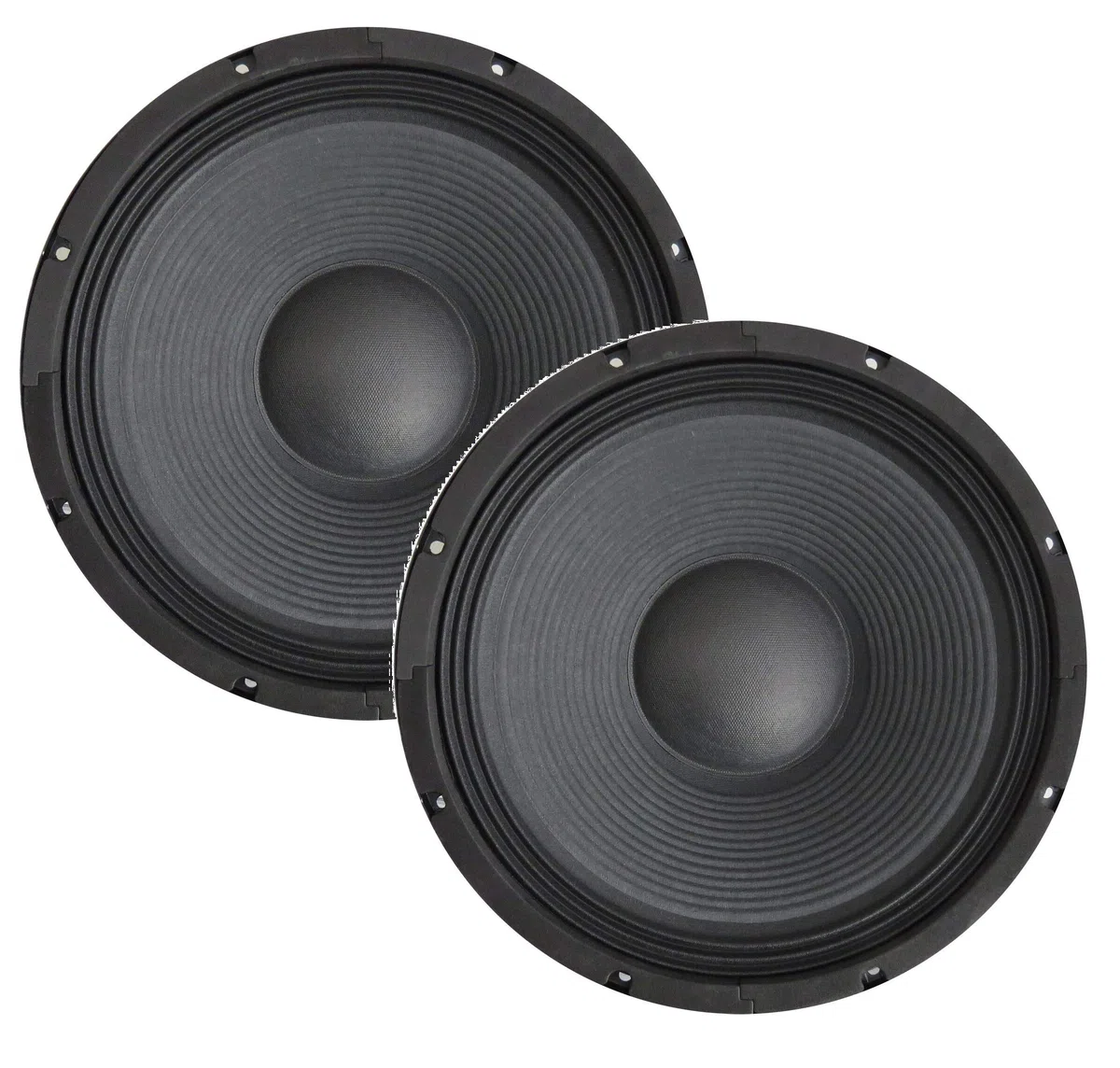 Plug & Sound Coppia Woofer 4 Ohm Professionali 500w 26 Cm 10'' Art. Cps104